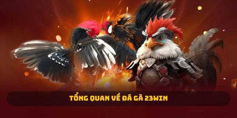 Tổng quan về đá gà 23WIN