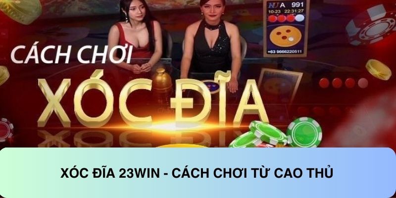 Xóc đĩa 23WIN - Cách chơi từ cao thủ
